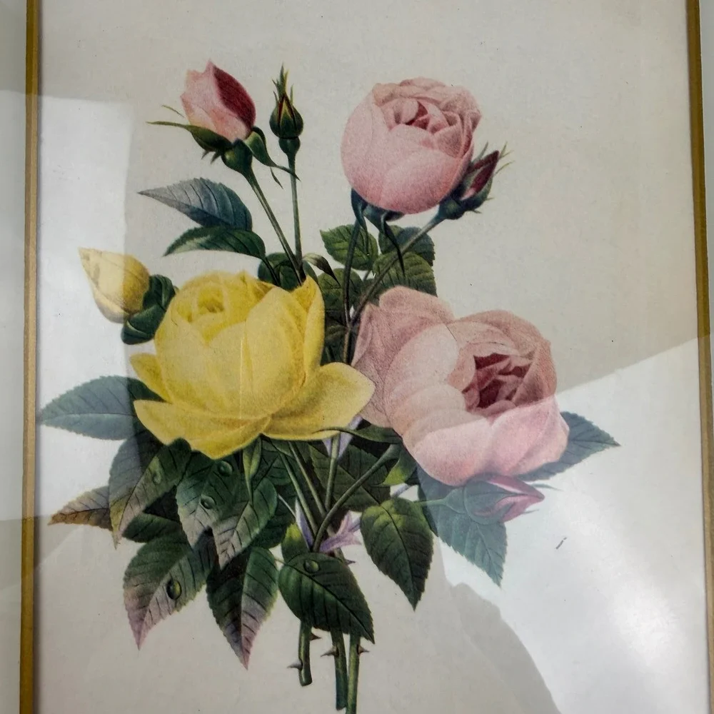N/A vintage botanical